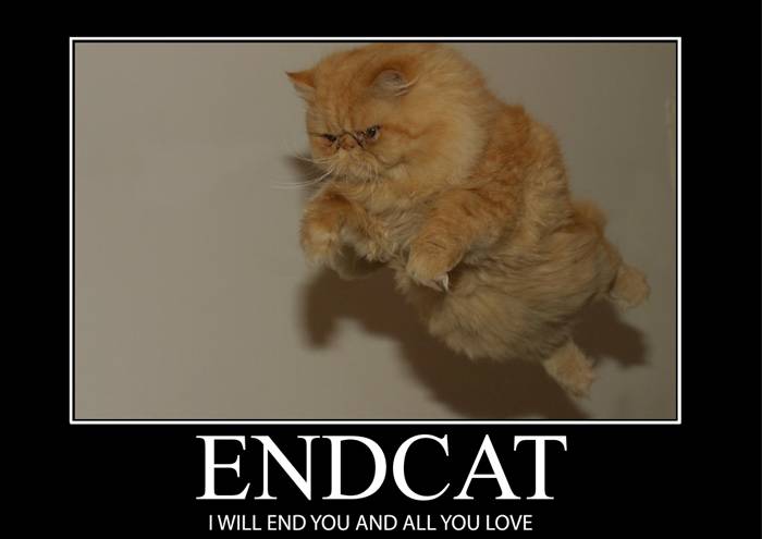 endcat_by_the_evil_kitten